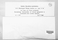 Image Associated With the Occurence